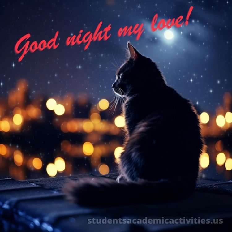 Good night image love picture black cat gratis