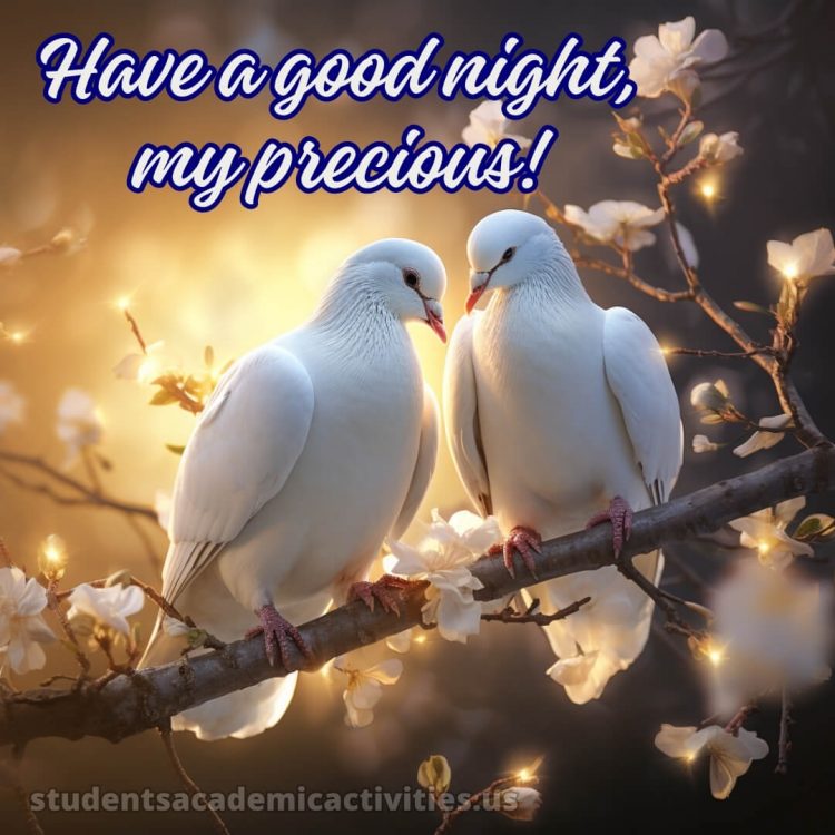 Good night image love picture pigeons gratis