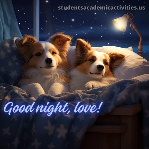 Good night love picture dogs gratis