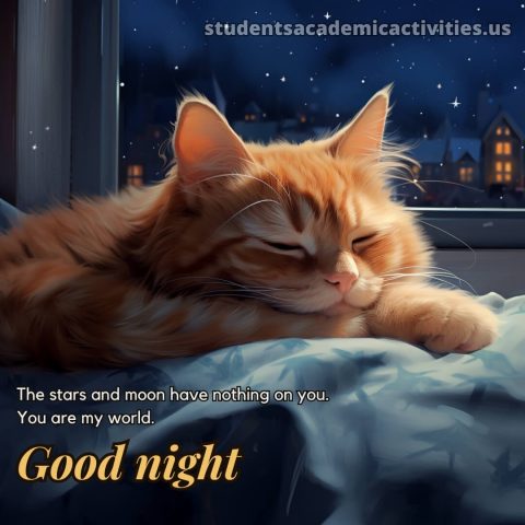 Good night love picture red cat gratis