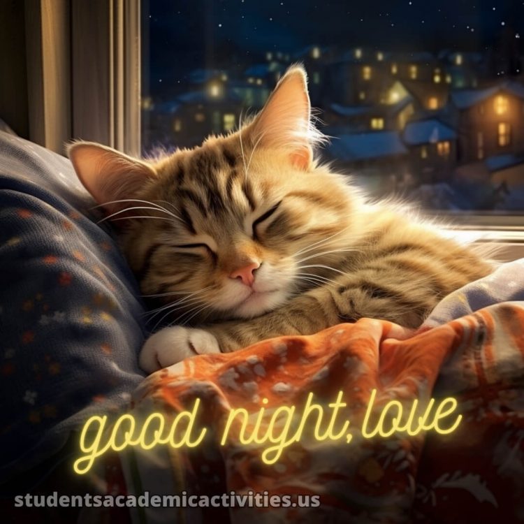 Good night love images picture cat gratis
