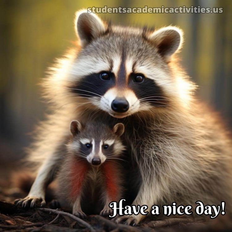 Have a nice day picture raccoon gratis