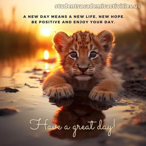 Have a nice day picture little lion gratis