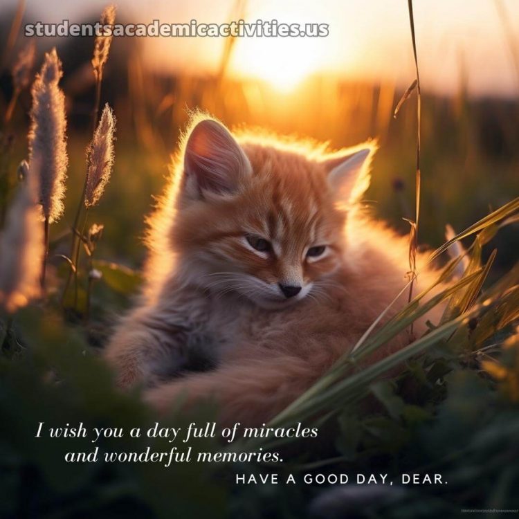 Have a nice day images picture cat gratis