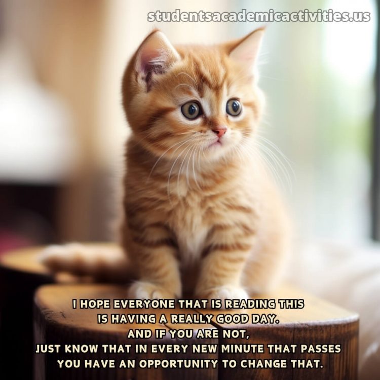 Have a nice day quotes picture cat gratis