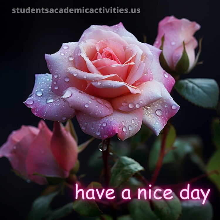 Have a nice day reply picture rose gratis