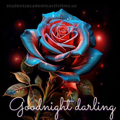 Good night i love you picture rose gratis