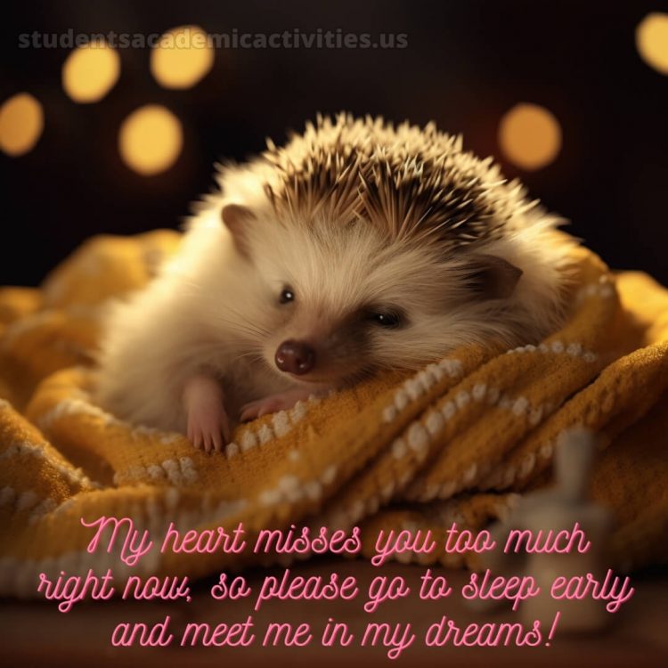 Good night message for love picture hedgehog gratis