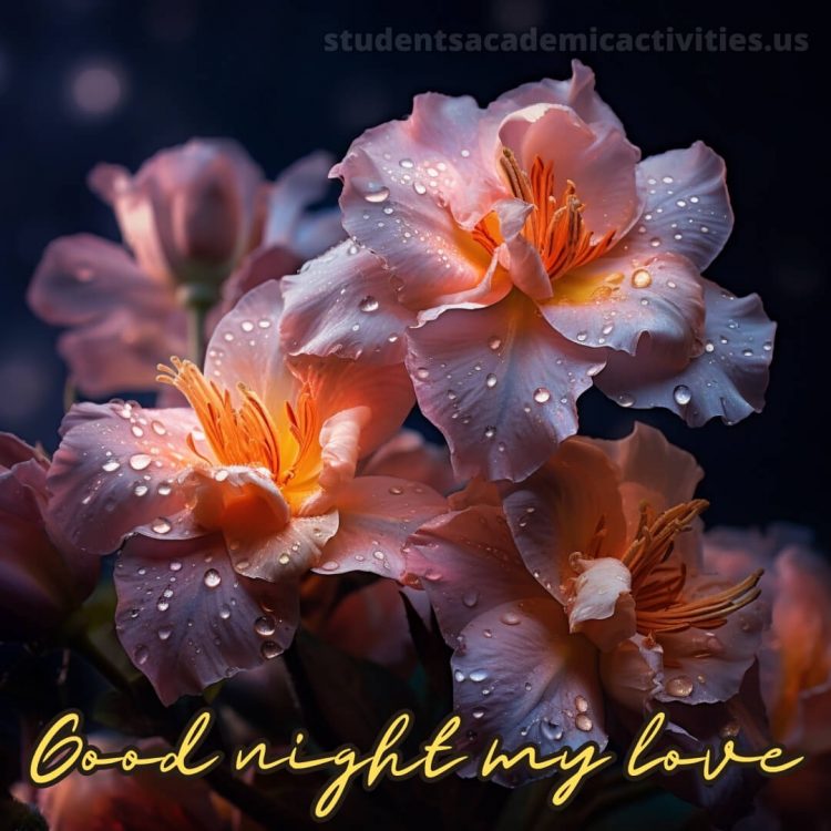 Good night message for love picture flowers gratis