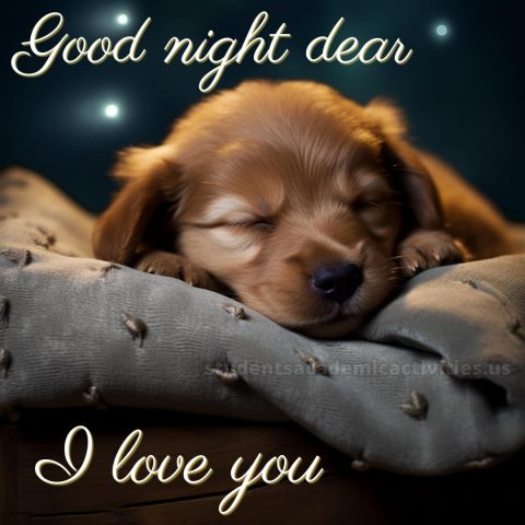Good night message for love picture dog gratis