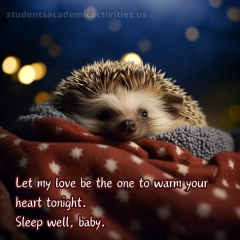 Good night message to my love picture hedgehog gratis