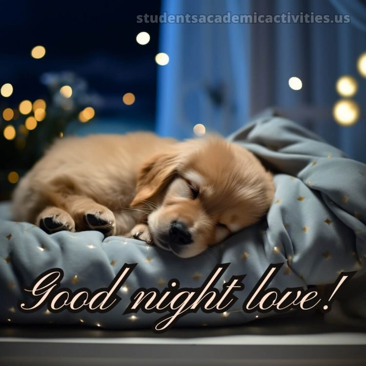 Good night messages for love picture dog gratis