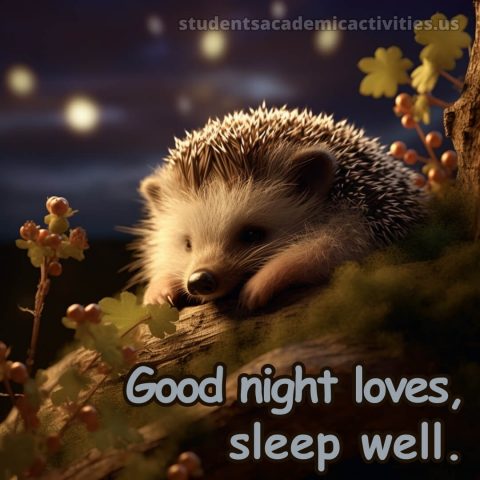 Good night messages for love picture hedgehog gratis