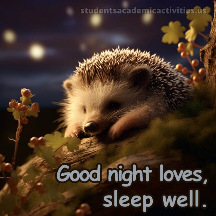 Good night messages for love picture hedgehog gratis