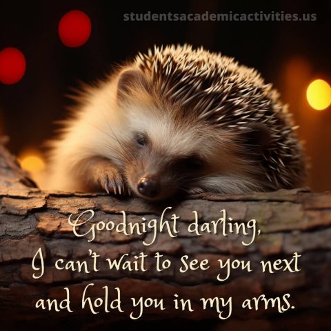 Good night my love picture hedgehog gratis