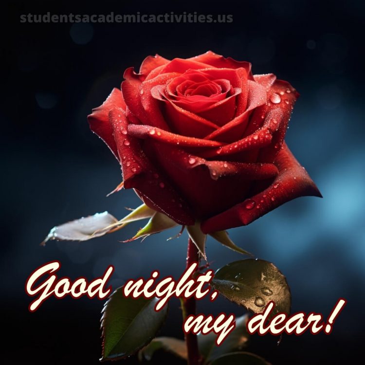 Good night my love images picture rose gratis