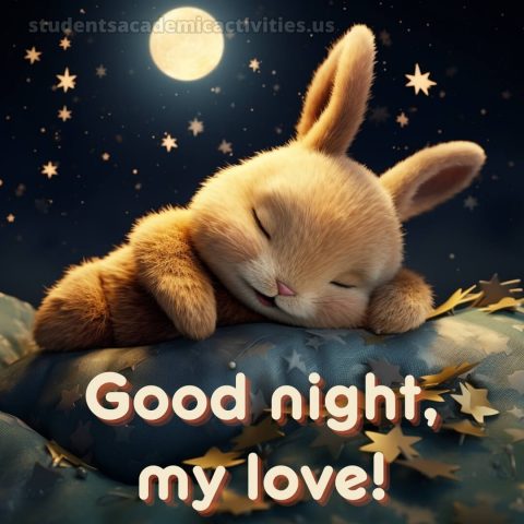 Good night my love images picture bunny gratis