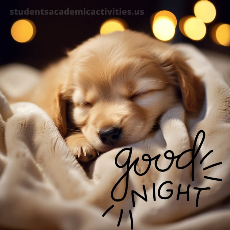 Good night pic love picture dog gratis