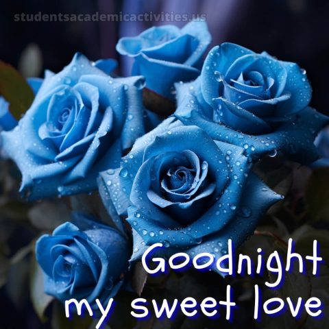 Good night pic love picture blue roses gratis
