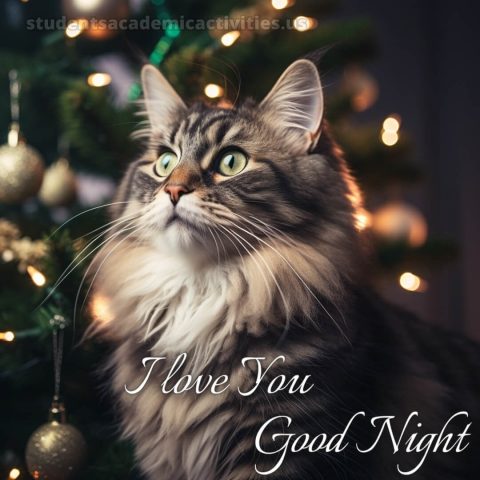 I love you good night picture cat gratis