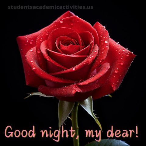 I love you good night picture rose gratis