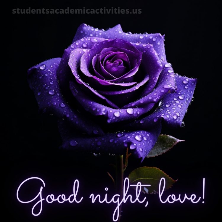 I love you good night picture purple rose gratis