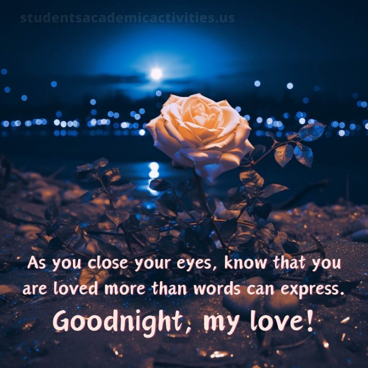 True love love good night rose picture city lights gratis