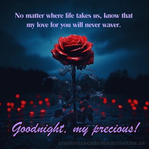 True love love good night rose picture lights gratis