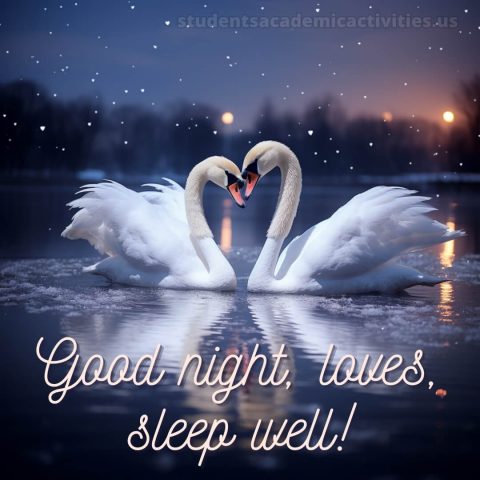 Good night images love picture swans gratis