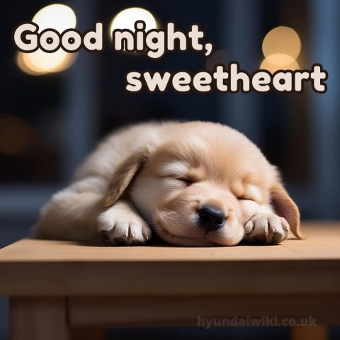Good night love message picture puppy gratis