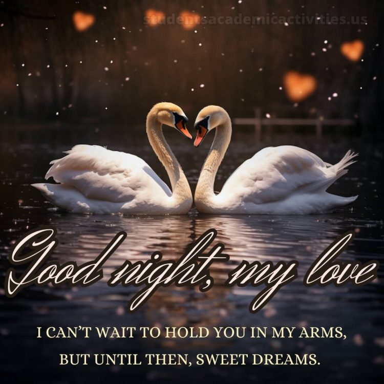 Good night love messages picture swans gratis