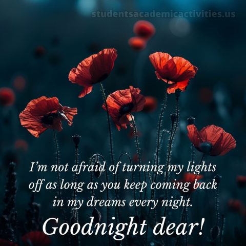 Good night love messages picture poppies gratis