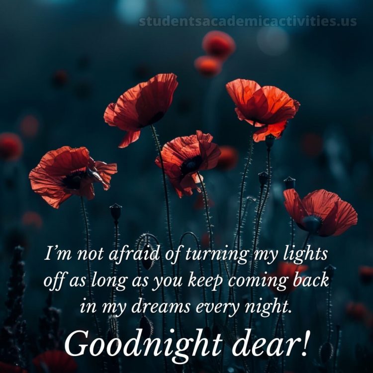 Good night love messages picture poppies gratis