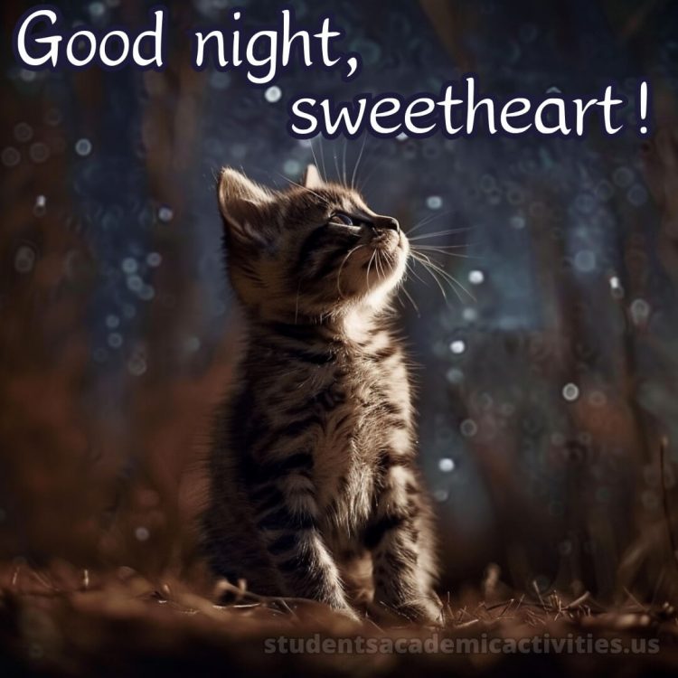 Good night love messages picture kitten gratis