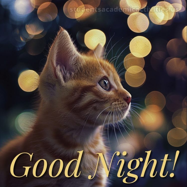 Good night love messages picture cat gratis