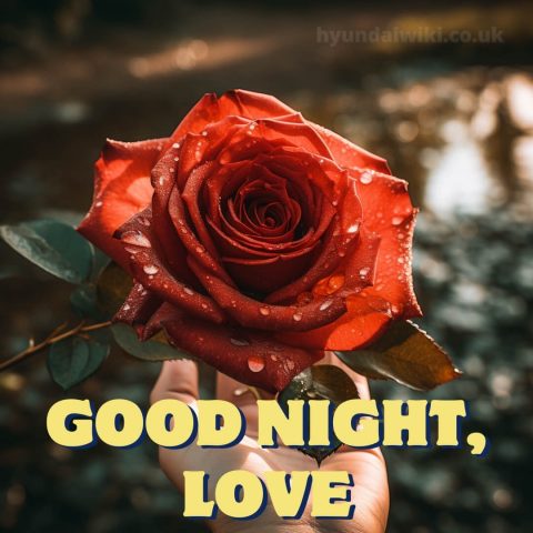 Good night love photo picture flower gratis