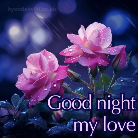 Good night love photo picture pink flowers gratis
