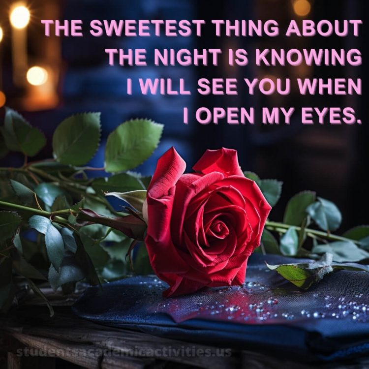 Love good night quotes picture red rose gratis